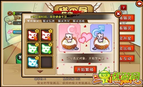 混亂的鬧貓季 《三國(guó)喵喵傳》貓寵暴動(dòng)