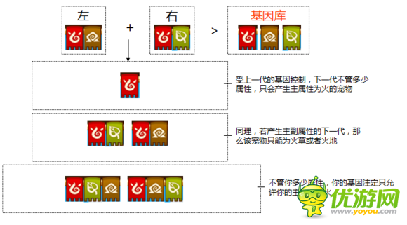功夫?qū)櫸镎賳緦櫸飳傩苑峙湓瓌t分享